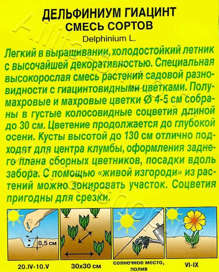 Дельфиниум Гиацинт, смесь сортов 25шт