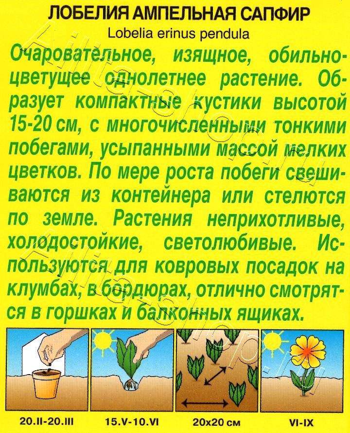 Лобелия Сапфир ампельная 0,05г