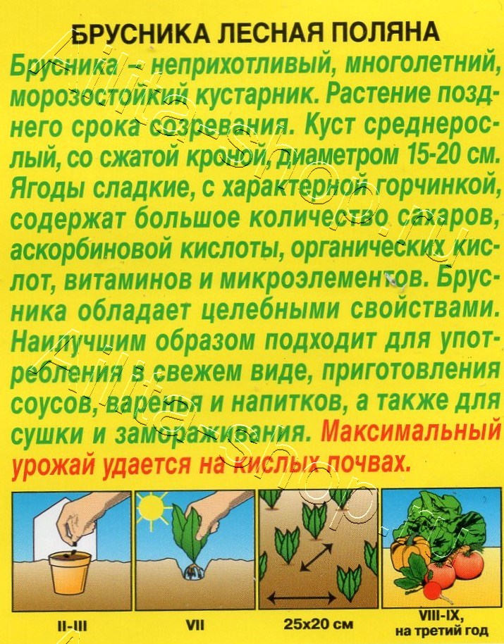 Брусника Лесная поляна 0,01г