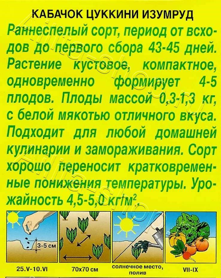 Кабачок цуккини Изумруд 1г