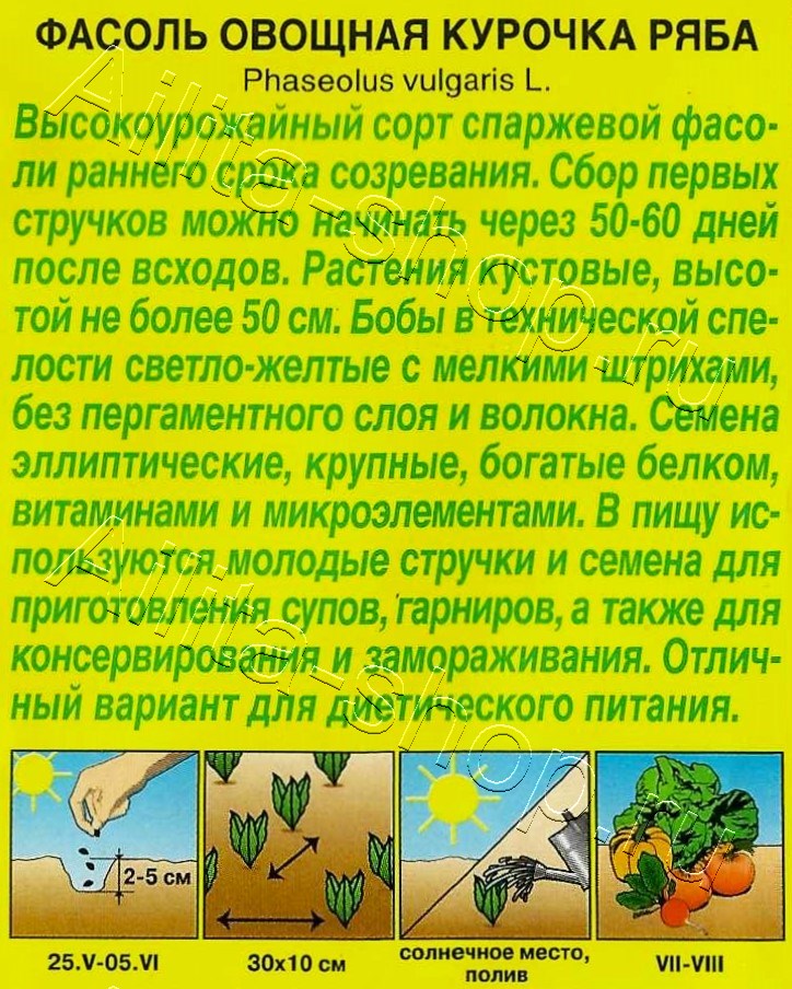 Фасоль овощная Курочка ряба 5г