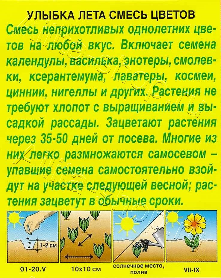 Смесь цветов Улыбка лета 3г