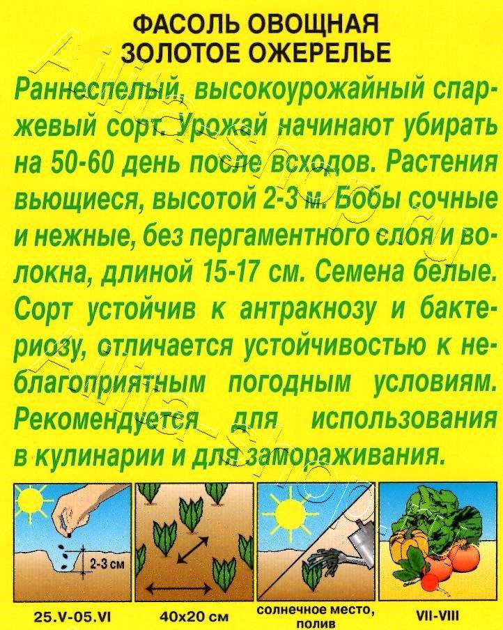 Фасоль овощная Золотое ожерелье 5г