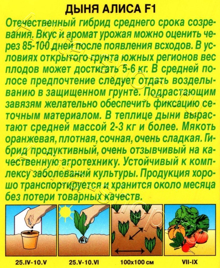 Дыня Алиса F1 10шт