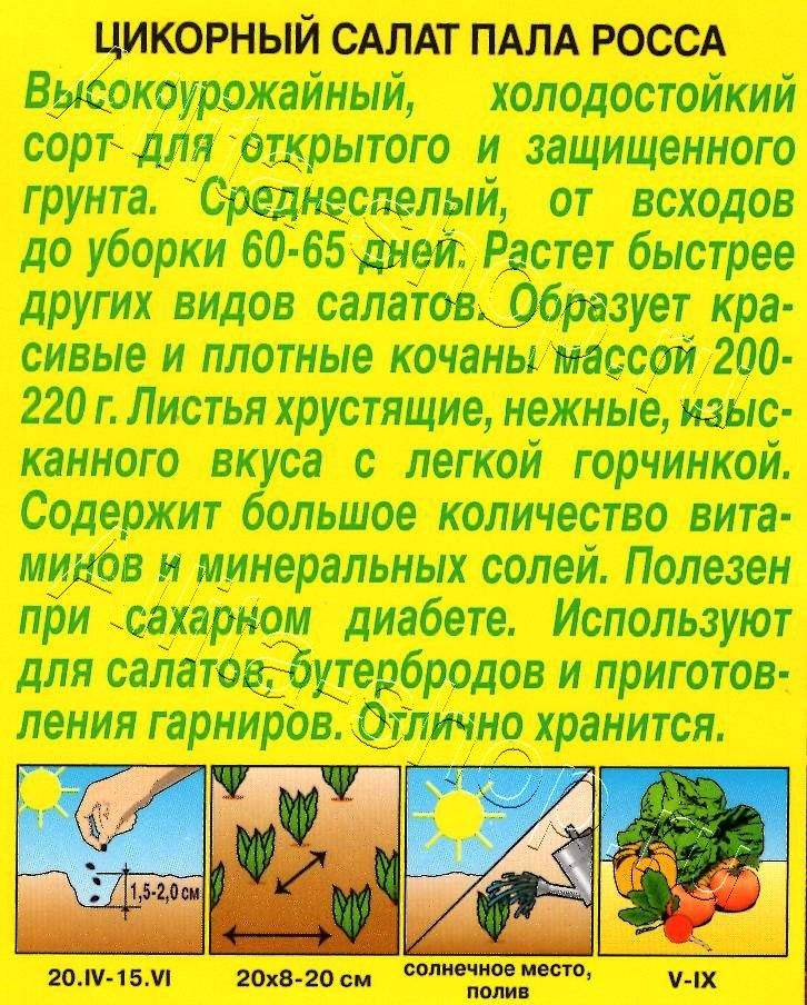 Цикорный салат Пала Росса 0,5г