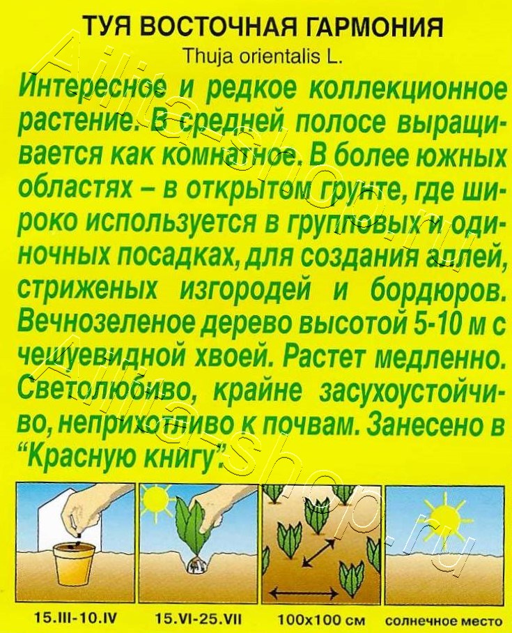 Туя восточная Гармония 8шт