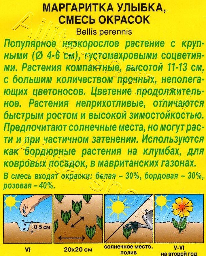 Маргаритка Улыбка махровая помпонная, смесь окрасок 0,05г