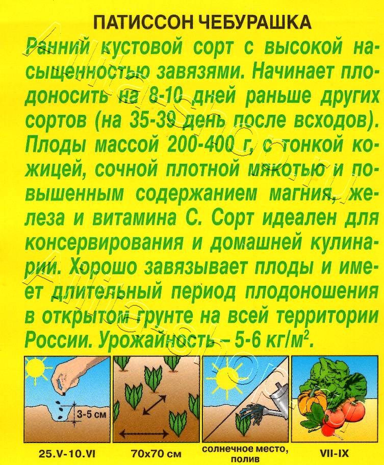 Патиссон Чебурашка 1г