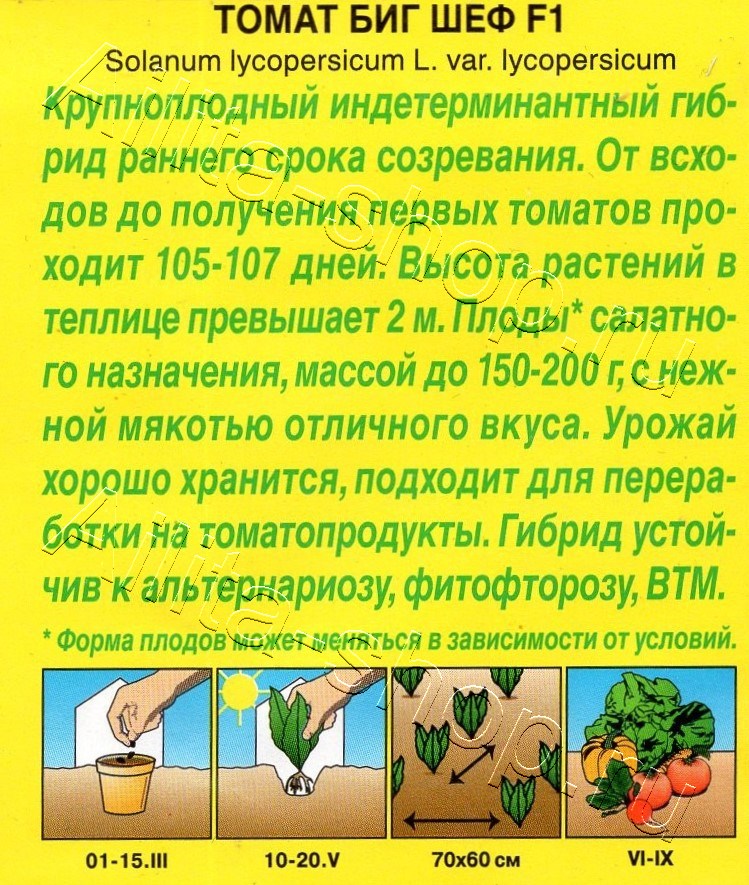 Томат Биг шеф F1 10шт