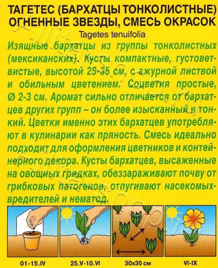 Бархатцы Огненные звезды, смесь окрасок 0,1г