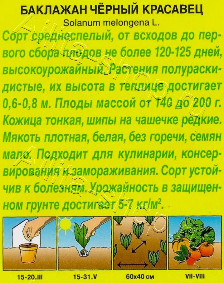 Баклажан Черный красавец 0,1г