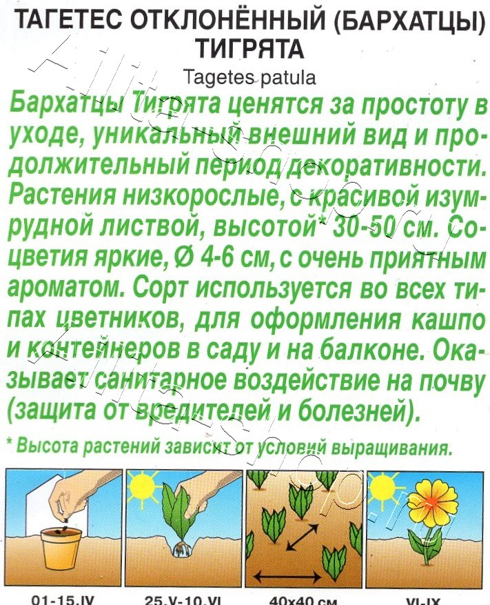 Бархатцы Тигрята отклоненные 0,3г