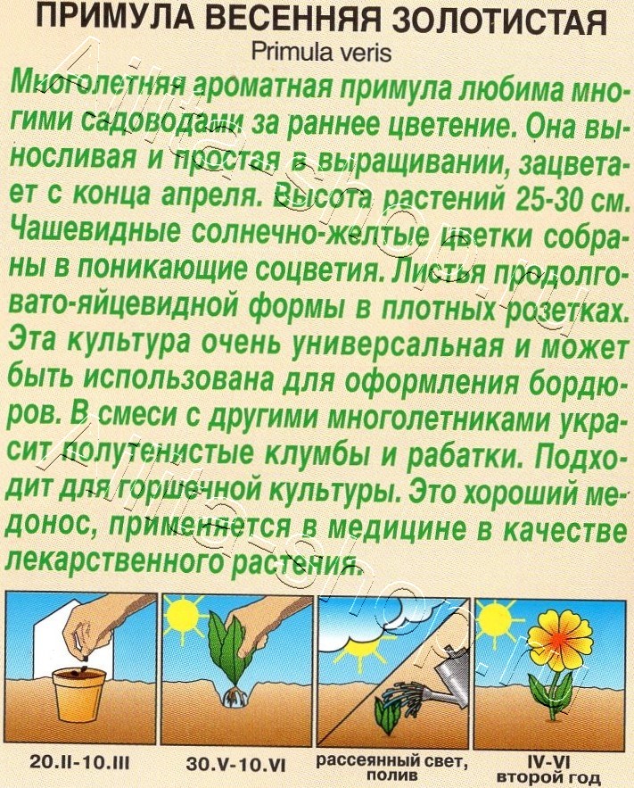 Примула весенняя Золотистая 0,05г