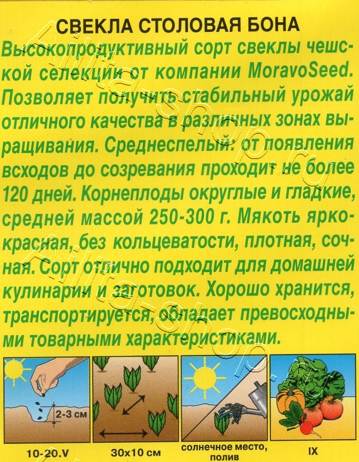 Свекла столовая Бона 1г