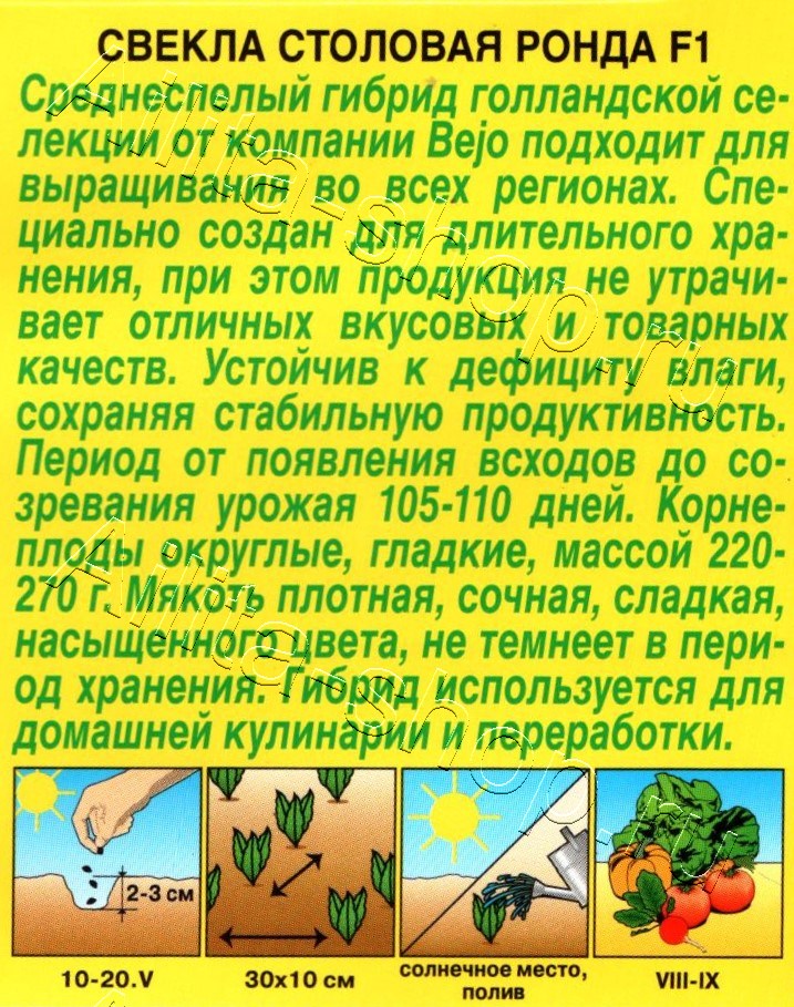 Свекла столовая Ронда F1 50шт