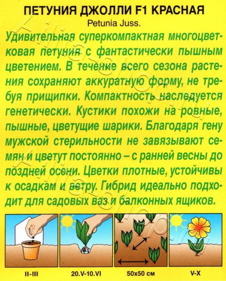 Петуния Джолли красная F1 многоцветковая 7шт