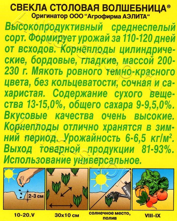 Свекла столовая Волшебница 3г