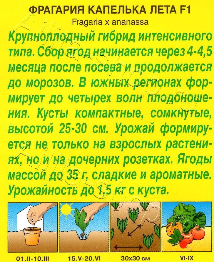 Земляника ремонтантная крупноплодная Капелька лета F1 10шт