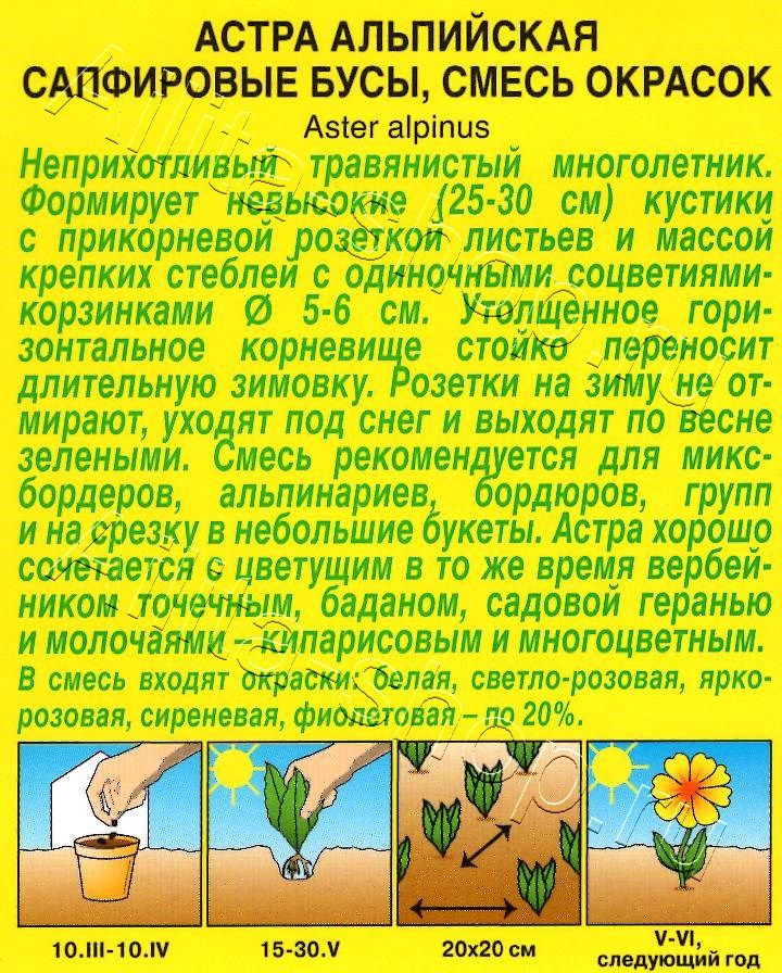 Астра альпийская Сапфировые бусы, смесь окрасок 0,1г