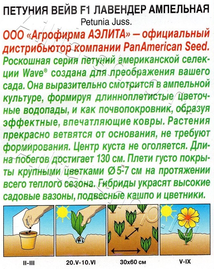 Петуния Вейв F1 лавендер ампельная 4шт