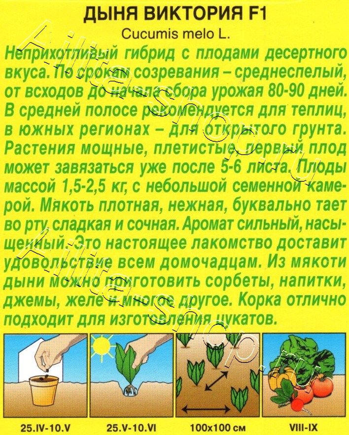 Дыня Виктория F1 5шт