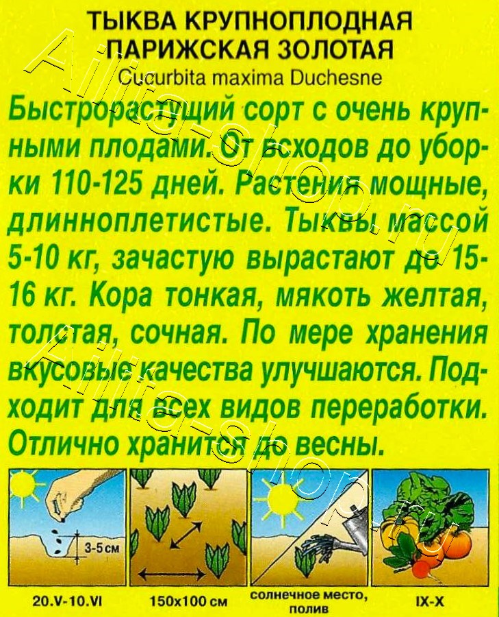 Тыква крупноплодная Парижская золотая 1г