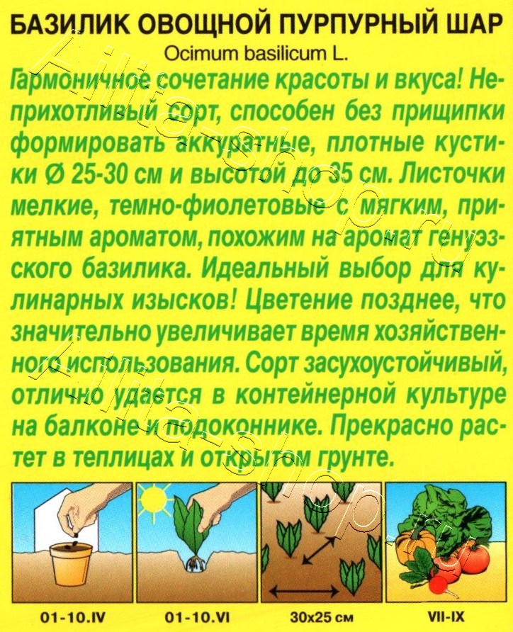 Базилик овощной Пурпурный шар 0,3г