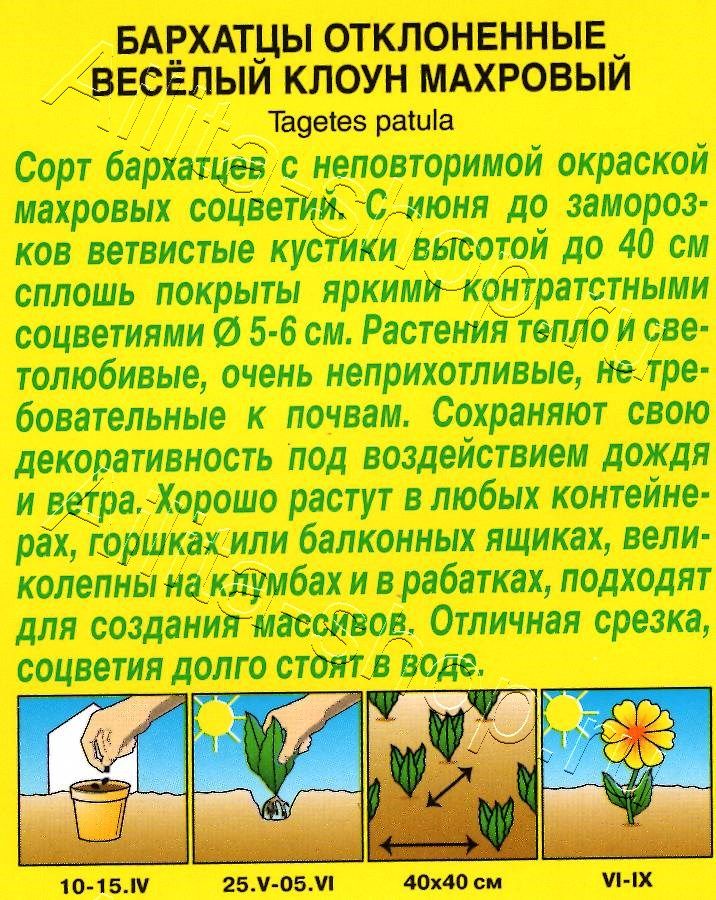 Бархатцы Веселый клоун махровые 0,1г