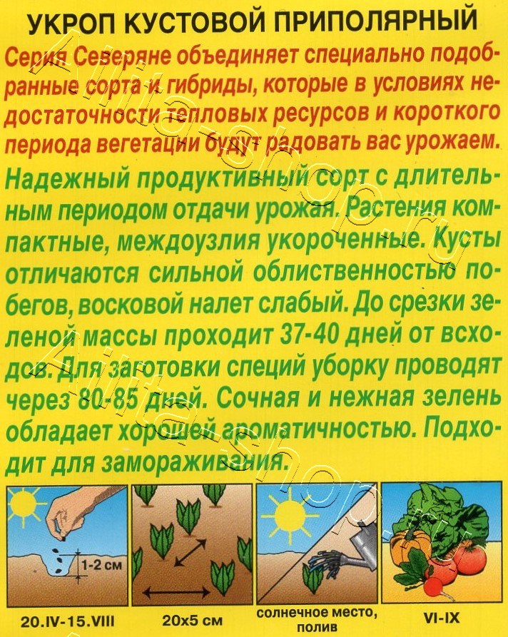 Укроп кустовой Приполярный 3г