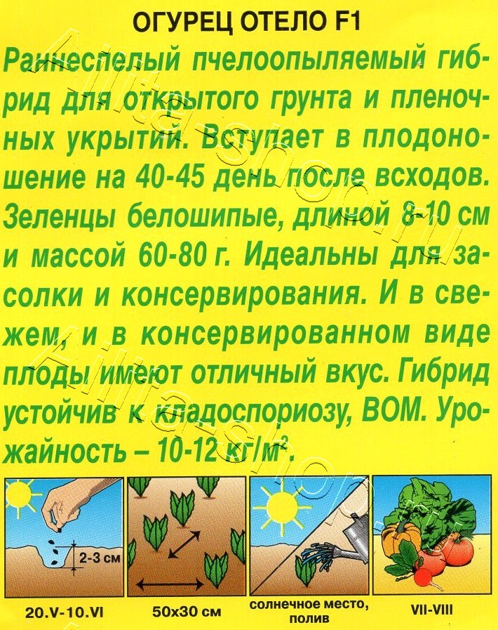 Огурец Отело F1 10шт