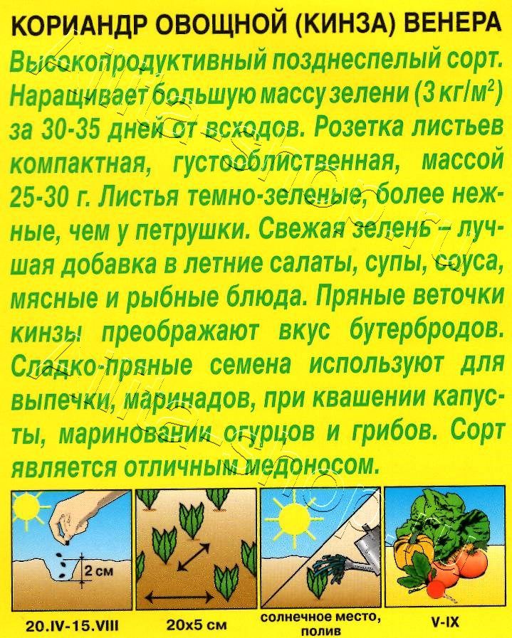 Кориандр овощной Венера 3г