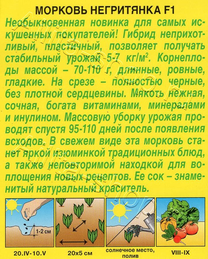 Морковь Негритянка F1 0,5г