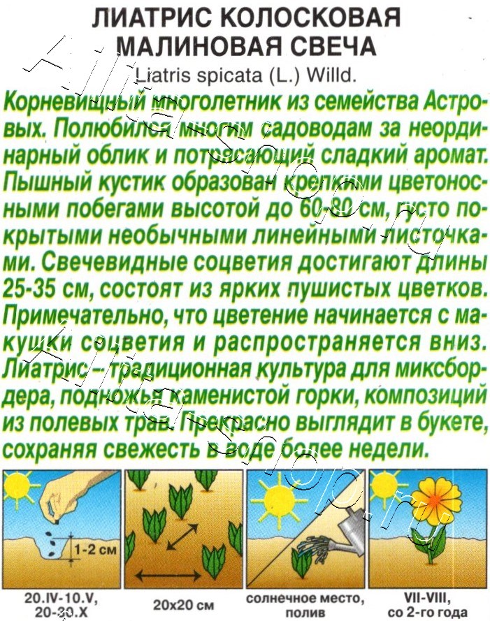 Лиатрис Малиновая свеча 0,1г