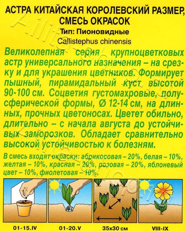 Астра Королевский размер, смесь окрасок 0,1г