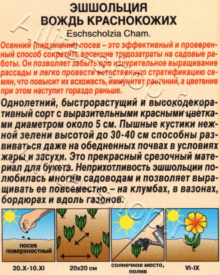 Эшшольция Вождь краснокожих 20шт