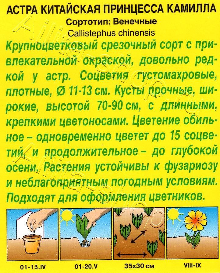 Астра Принцесса Камилла 0,2г