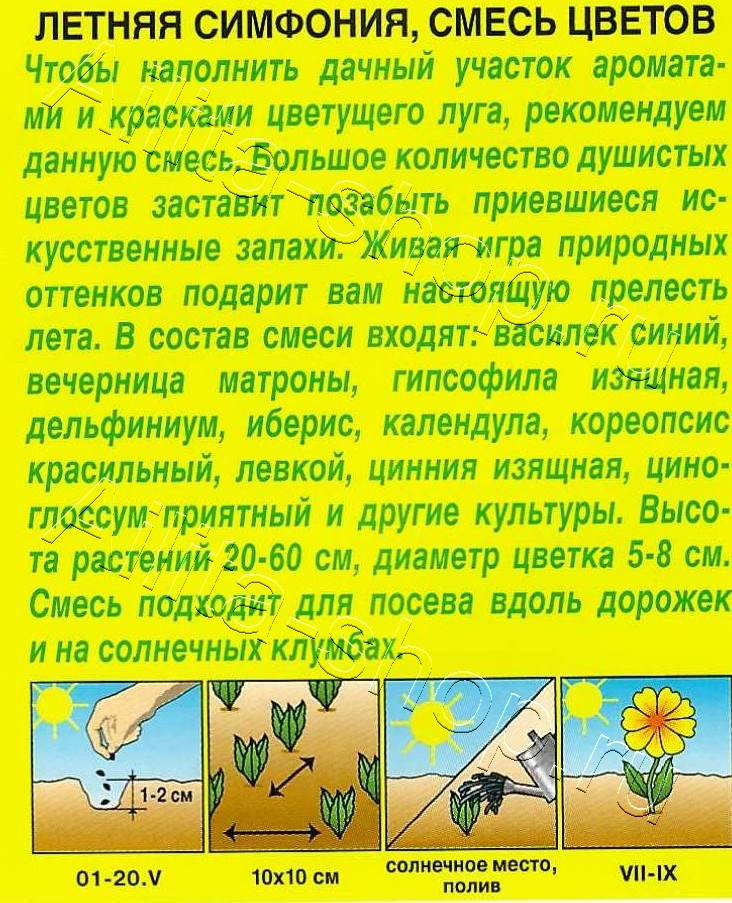 Смесь цветов Летняя симфония 2г