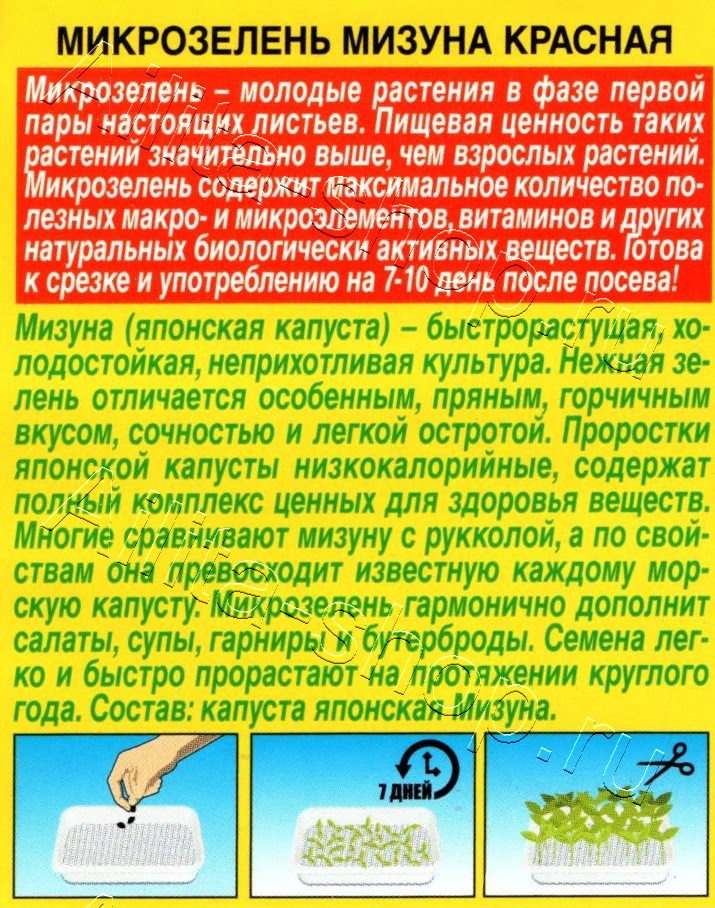 Микрозелень Мизуна красная 3г