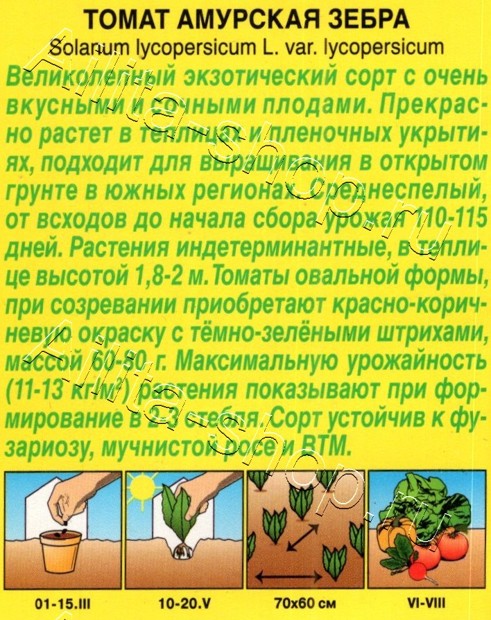 Томат Амурская зебра 20шт