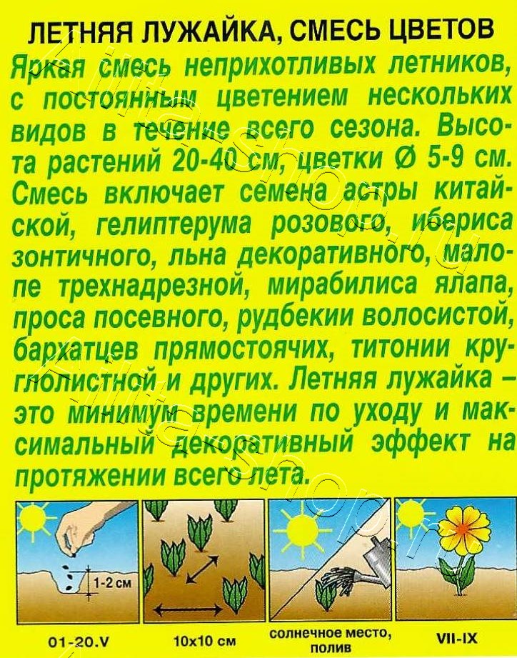 Смесь цветов Летняя лужайка 2г