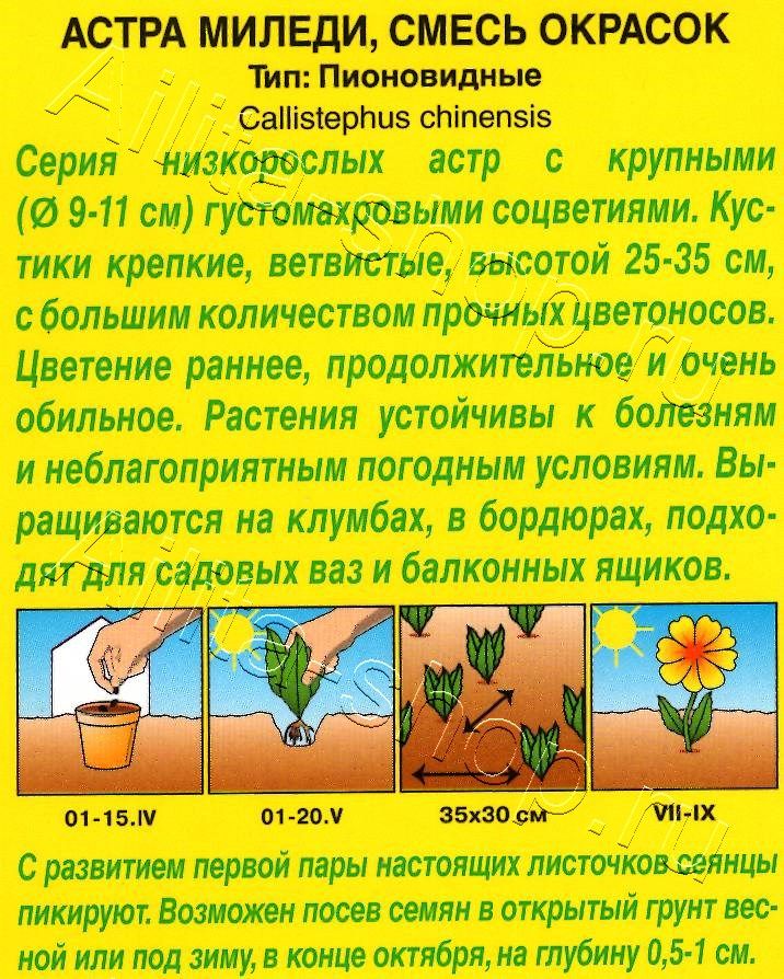 Астра Миледи, смесь окрасок 0,2г