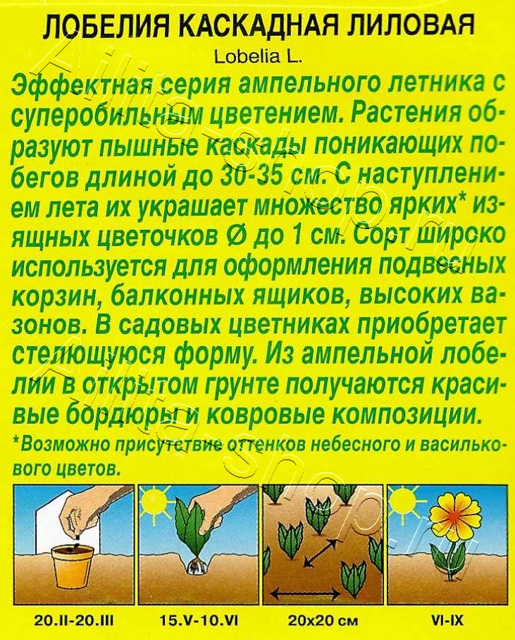 Лобелия каскадная лиловая 0,05г