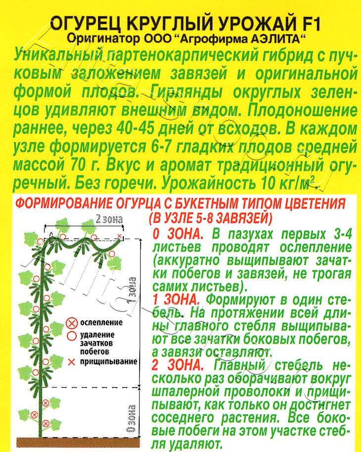 Огурец Круглый урожай F1 10шт