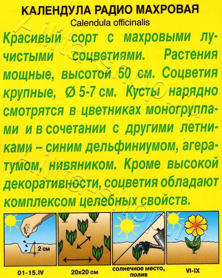 Календула Радио махровая 0,5г