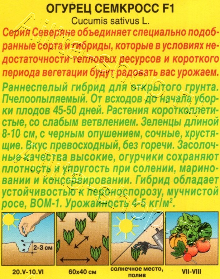 Огурец Семкросс F1 10шт