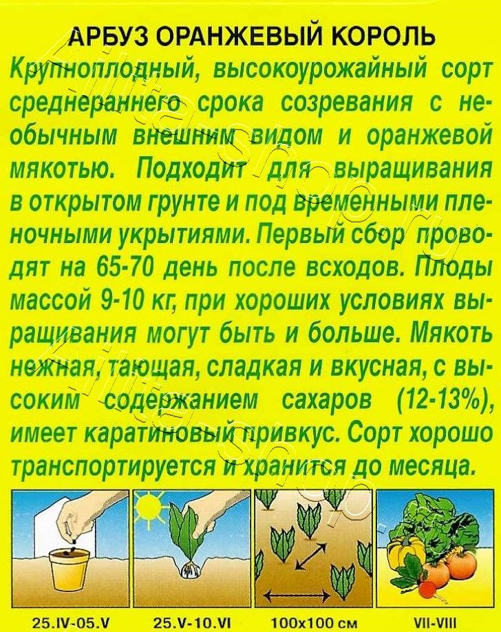 Арбуз Оранжевый король 5шт