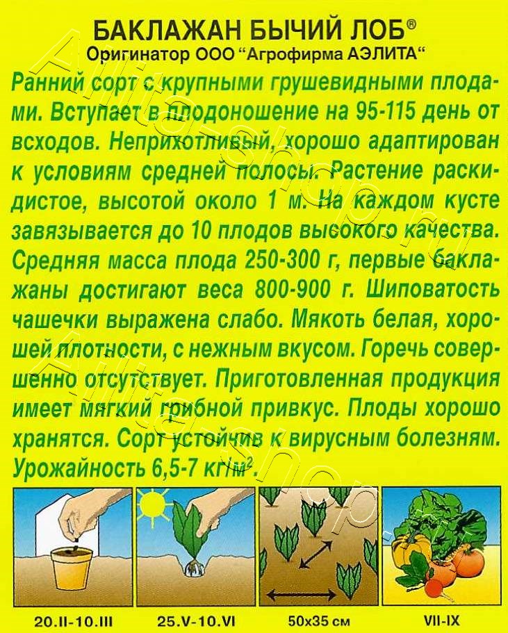 Баклажан Бычий лоб 0,1г