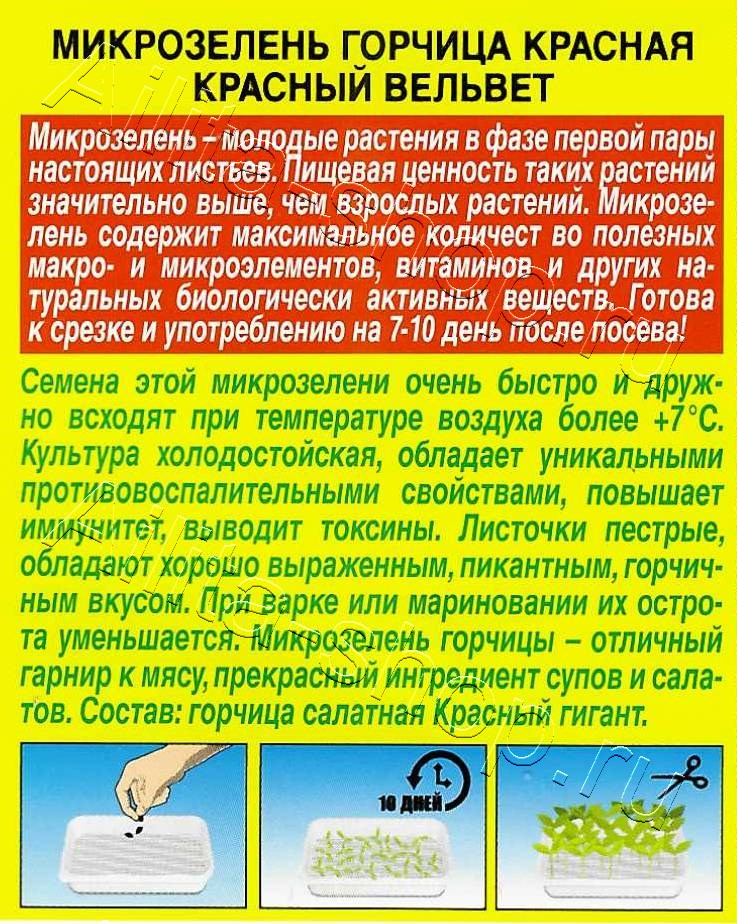 Микрозелень Горчица красная Красный вельвет 5г