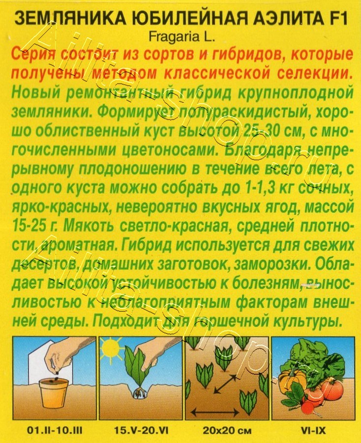 Земляника Юбилейная Аэлита F1 10шт
