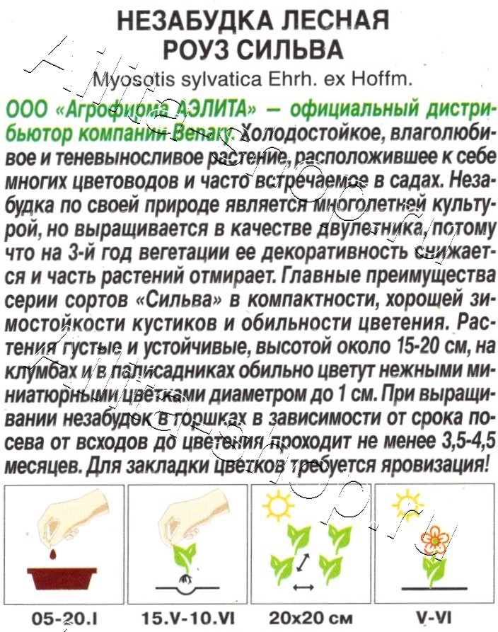Незабудка лесная Роуз сильва 10шт